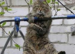 Хочешь успеть хорошо подкачаться к лету? Заходи в Блокнот Справочник