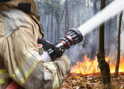Чрезвычайная пожароопасность ожидается в Морозовском районе с 25 по 27 июня