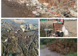 Множественные нарушения санитарного содержания территорий выявили в Морозовском районе 