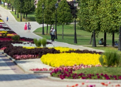 Три общественные территории Морозовска, требующие благоустройства в первую очередь, попали на голосование