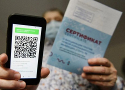 Просто технический глюк: срок действия QR-кодов на Госуслугах изменился с года до полугода по ошибке