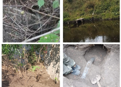Выявлено 4 случая загрязнения реки Быстрой в Морозовске, которое устроили сами жители