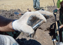 Поисковики Морозовска ищут родственников Александра Васильевича Украинского, павшего на "Миус-фронте"