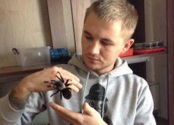 Житель Морозовского района держит дома ядовитых пауков, тараканов и змей