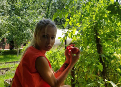 Хочешь в 2019 году собрать хороший урожай? Заходи в Блокнот Справочник