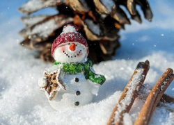 Снежную морозную погоду обещают синоптики в субботу