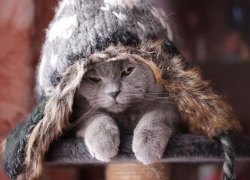 До -8 градусов ожидается в Морозовске утром, 11 ноября