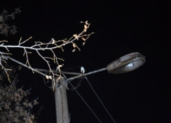 Вопрос-ответ: Почему в вечернее время на многих улицах Морозовска не горели фонари?