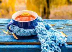 Похолодание до +14 градусов ожидается в Морозовске в середине недели