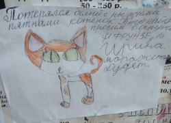 Мимишное объявление разместили в Морозовске