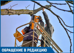 Почему мы должны убирать за электриками, - морозовчанка