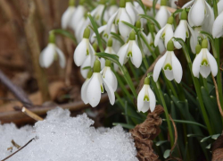 Облачность и сильный ветер ожидается в Морозовске 15 марта