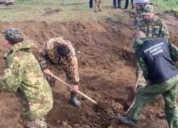 Найдено тело ребенка, которого пытались заменить похищенным в Морозовске Тимуром