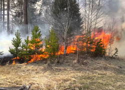 Пожароопасность в Ростовской области снова чрезвычайная