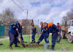 На Коммунистической улице появились новые деревья