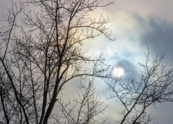 Последний день уходящей недели в Морозовске окажется заметно теплее