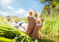 Солнечную погоду без осадков обещают морозовчанам в пятницу