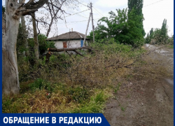 Ветки торчат аж на пол дороги, - морозовчанин о спиленном дереве