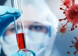 21 октября: подтвержденных случаев COVID-19 в Морозовском районе уже 227 