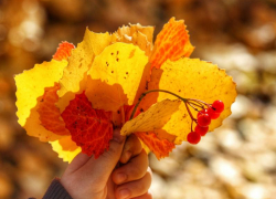 Прогноз погоды: солнечный и погожий день обещают синоптики 17 октября