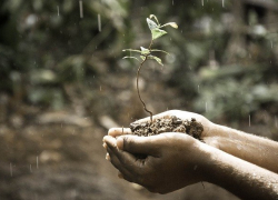 10 мая в Морозовске тоже будет дождь