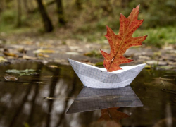 5 ноября в Морозовске похолодает до +11