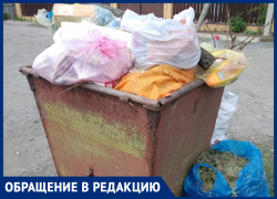 Мусор вовремя не вывозят и "кормят завтраками", - морозовчанка