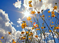 24 июля в Морозовске ожидается переменная облачность и всего +28 градусов тепла