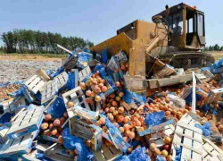 Увеличилось количество стран, продукцию из которых будут уничтожать