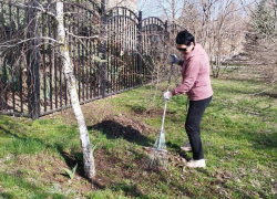 Не вышел на субботник - не жалуйся на грязь: морозовчан зовут на масштабную уборку