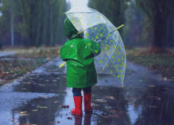 Среда в Морозовске будет ветреной и дождливой