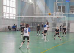 Морозовские спортсменки завоевали бронзу на областном турнире по волейболу в родном городе