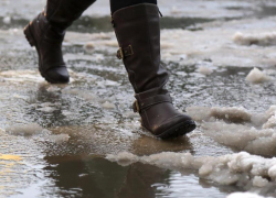 Пятница в Морозовске будет ветреной и относительно теплой