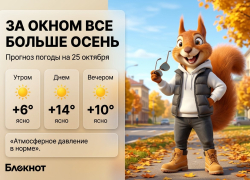 За окном все больше осень: прогноз погоды на 25 октября