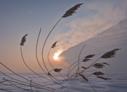 Потепление до +1 градуса ожидается в Морозовске в субботу, 29 января