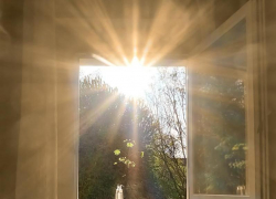 Тепло и солнечно будет в Морозовске в воскресенье, 19 июля