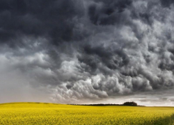 Жара в Морозовске сохранится и в пятницу, 19 июня