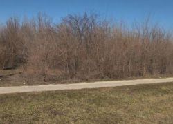 Какой сквер благоустроят в Морозовске в 2023 году