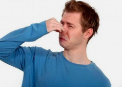 Письмо в редакцию: Укушенный за нос потерпевший взял 300 тысяч рублей и пропустил заседание суда в Морозовске