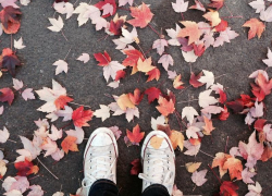 Похолодание до +9 ожидается в Морозовском районе 7 ноября