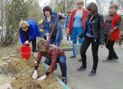 Письмо в редакцию: Розы, сирень и бульденеж посадили в день древонасаждений в детском саду Морозовска