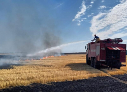 За сжигание стерни на полях в Ростовской области оштрафованы десятки сельхозпроизводителей 