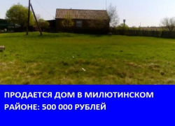 Большой дом на участке 20 соток продается в Милютинском районе