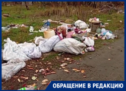 «Засорённая улица»: жители Морозовска возмущены свалкой на Тюленина и требуют навести порядок
