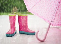 Новая неделя для морозовчан может начаться с дождя