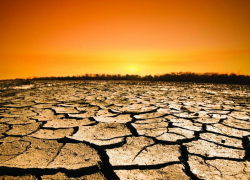 Из-за продолжительной засухи в Морозовском районе могут пострадать мелкие степные животные