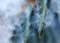 Небольшой снег и до -3 градусов мороза прогнозируют синоптики в субботу, 19 декабря