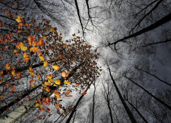 Небольшое похолодание придет в Морозовск в конце недели