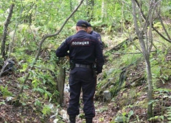 Тело пропавшего без вести пасечника обнаружили в лесополосе под Морозовском