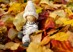 Пасмурно, но без осадков будет в Морозовске в четверг, 22 октября